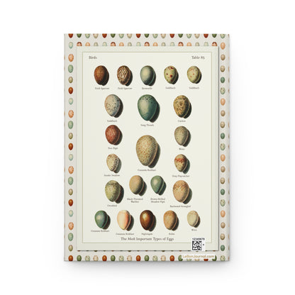 Kleinschmidt Table 85 back cover Field Sparrow Goldfinch Redstart Nightingale Robin Wren songbird eggs - LeBonJournal
