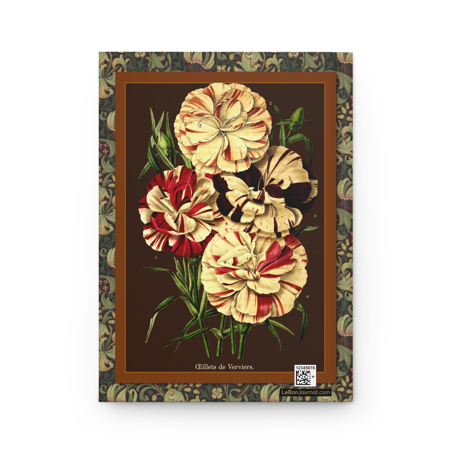 L'Illustration Horticole 1870 back cover Oeillets de Verviers Dianthus carnation chromolithograph brown frame - LeBonJournal
