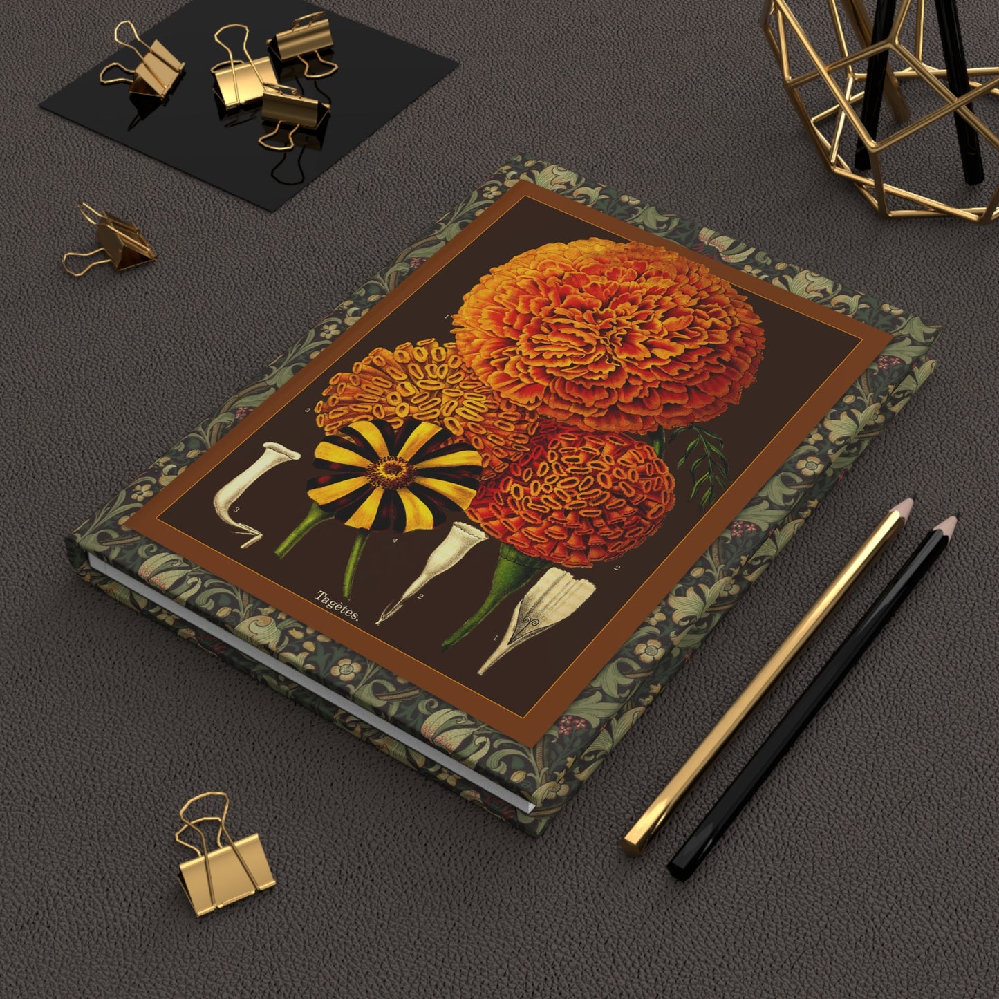 L'Illustration Horticole 1870 floral journal on workspace celebrating French Belgian botanical chromolithograph - LeBonJournal
