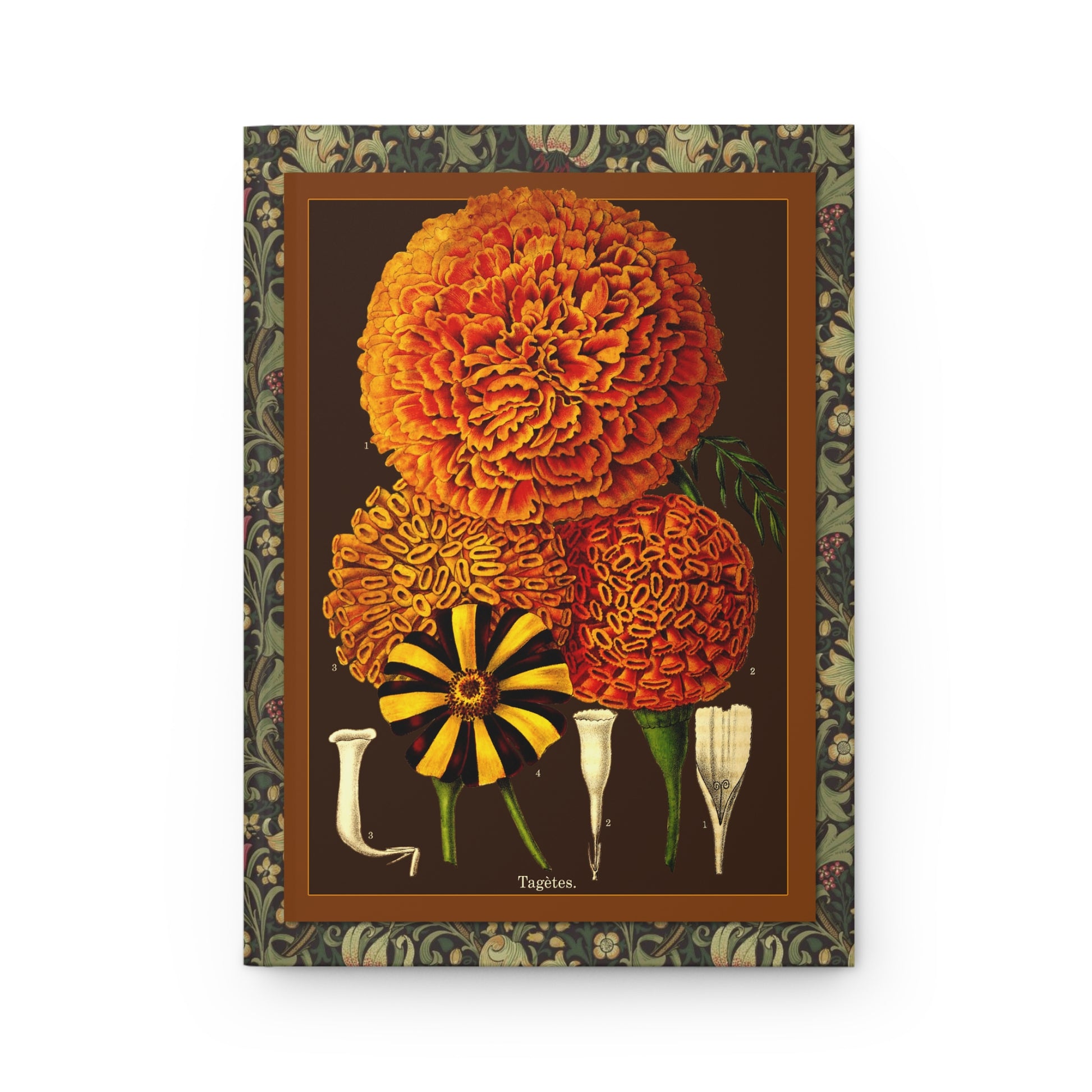 L'Illustration Horticole 1870 front cover Tagetes erecta patula marigold chromolithograph brown orange frame - LeBonJournal
