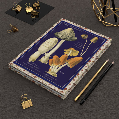 Léon Dufour 1891 mushroom journal on workspace celebrating Victorian mycology - LeBonJournal
