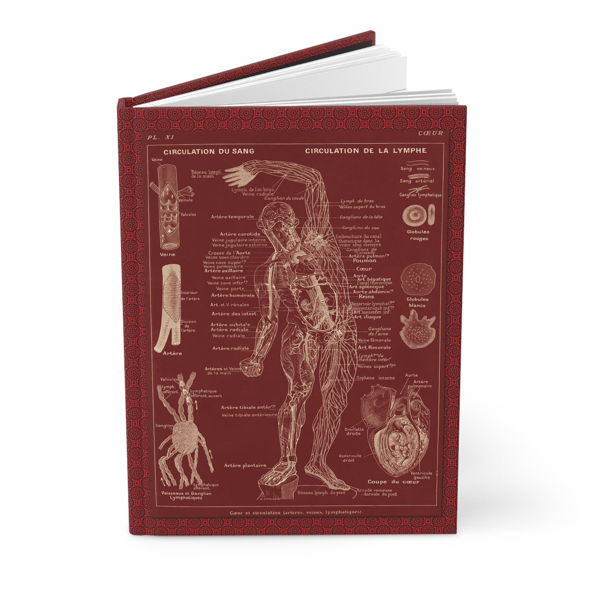 Larousse Médical 1912 blank journal front cover with Leuba chromolithograph Circulation du Sang lacre red inverted on dark red ornate border - LeBonJournal