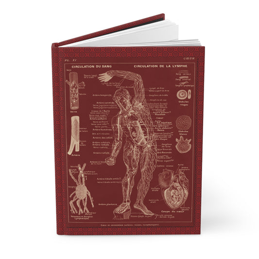 Larousse Médical 1912 blank journal front cover with Leuba chromolithograph Circulation du Sang lacre red inverted on dark red ornate border - LeBonJournal