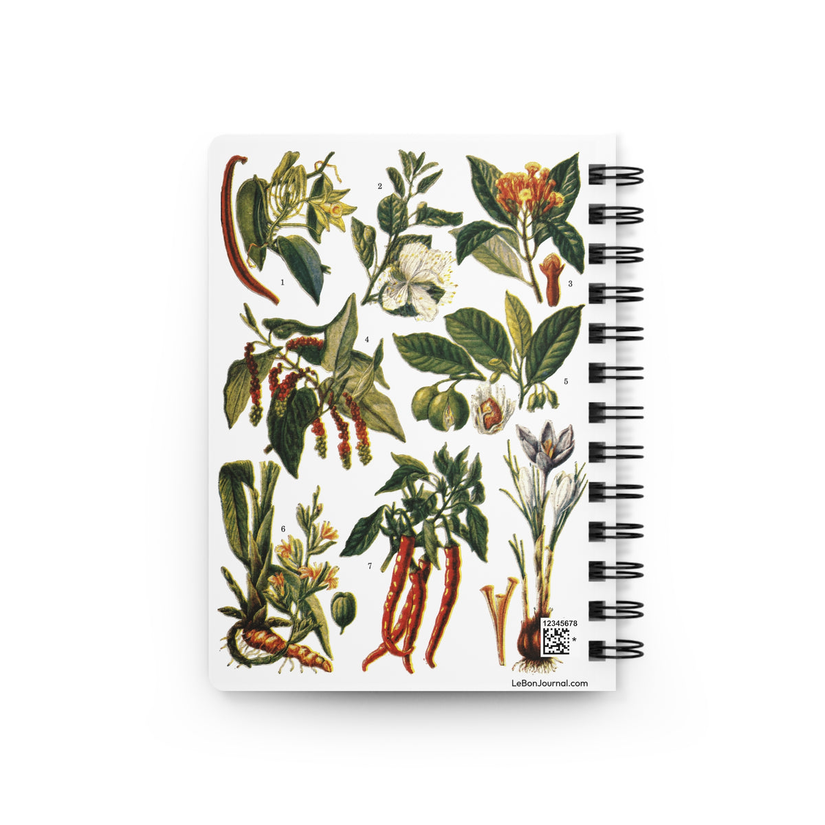 Botanical spiral journal back cover with El Tesoro de la Juventud 1913 Especias plate — pepper cloves cinnamon chili saffron and aromatic spices on white - LeBonJournal