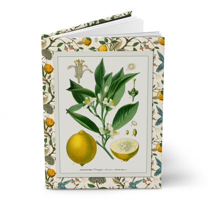 Lemon blank journal with Köhler 1887 Citrus medica chromolithograph front cover on cream with citrus bird botanical border - LeBonJournal