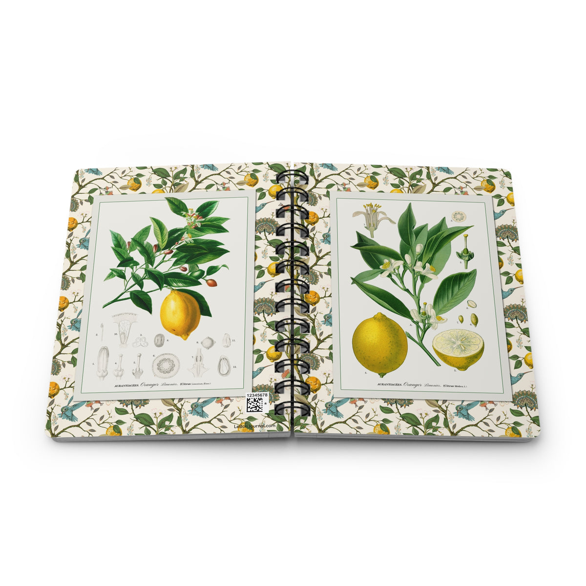 Lemon spiral journal open at spine showing d'Orbigny Citrus Limonium and Köhler Citrus medica full-wrap covers and removable metal spiral binding - LeBonJournal