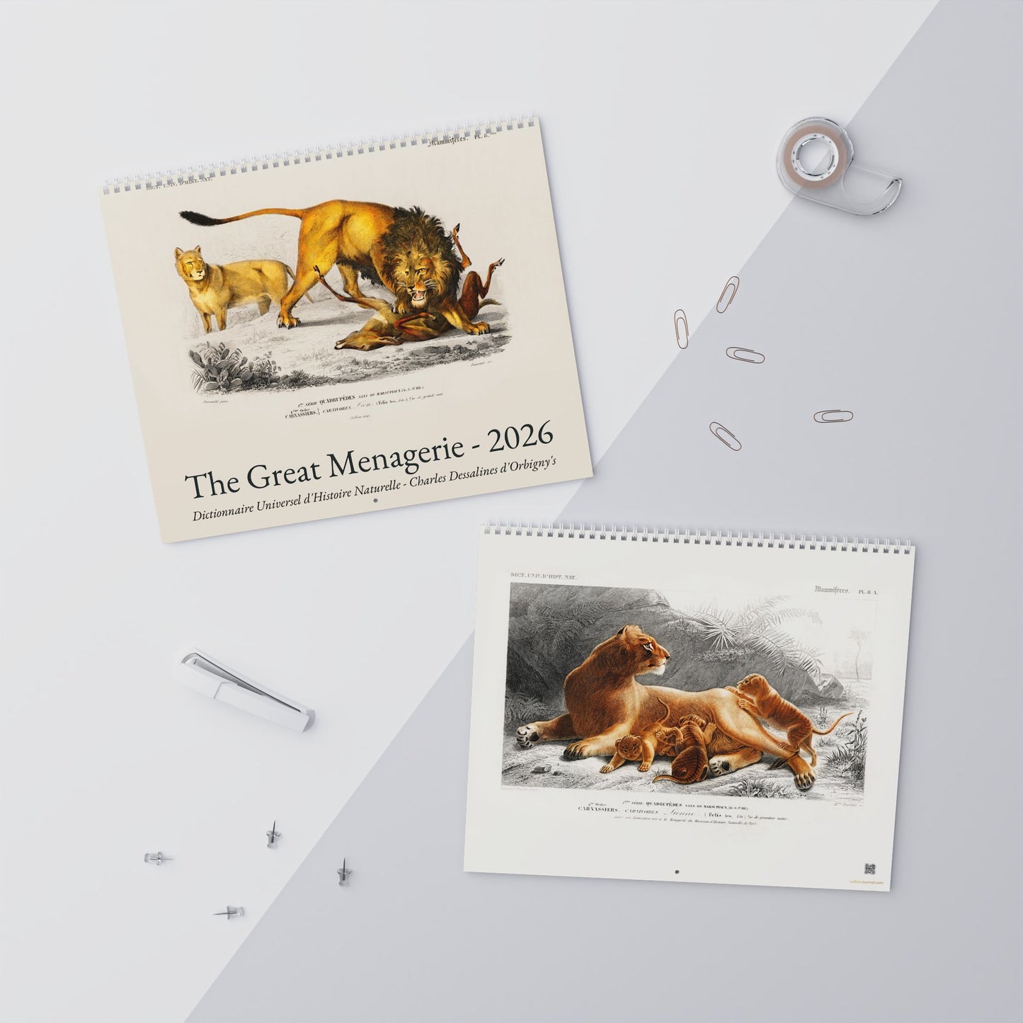Lion front and lion study back cover in context from D'Orbigny 1849 Dictionnaire Histoire Naturelle great menagerie calendar - LeBonJournal