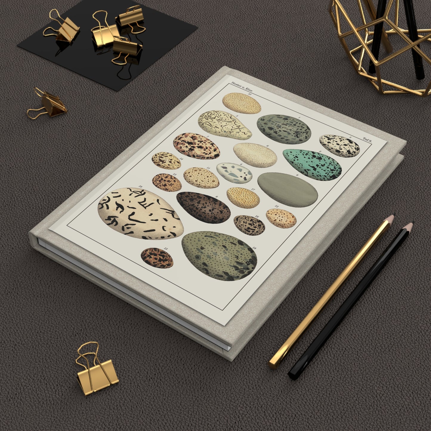 Lorenz Oken 1833 Naturgeschichte bird eggs journal on workspace celebrating German Naturphilosophie oology - LeBonJournal
