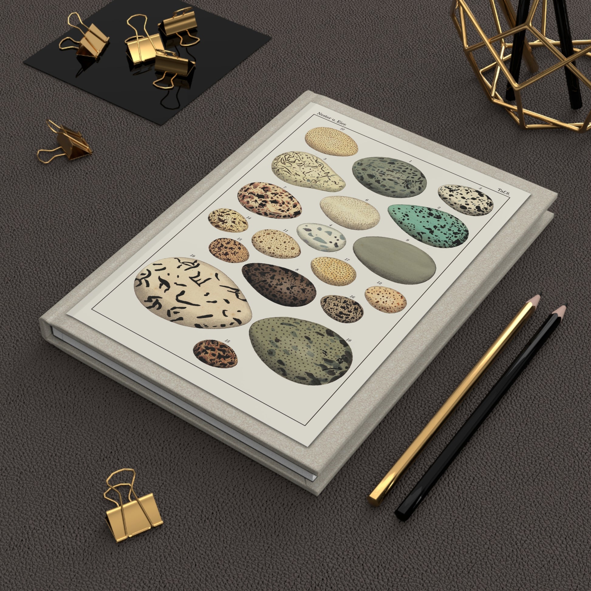Lorenz Oken 1833 Naturgeschichte bird eggs journal on workspace celebrating German Naturphilosophie oology - LeBonJournal
