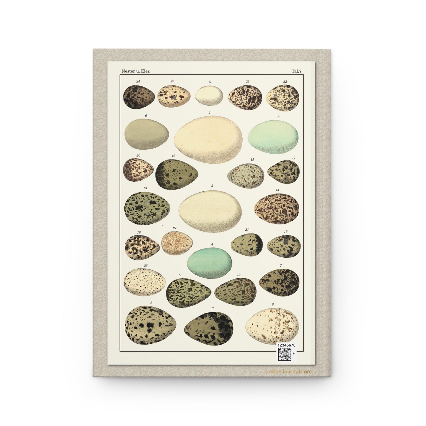 Lorenz Oken 1833 Taf 7 back cover Nester Eier linear composition cream olive blue green mottled eggs - LeBonJournal
