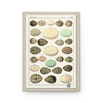 Lorenz Oken 1833 Taf 7 back cover Nester Eier linear composition cream olive blue green mottled eggs - LeBonJournal
