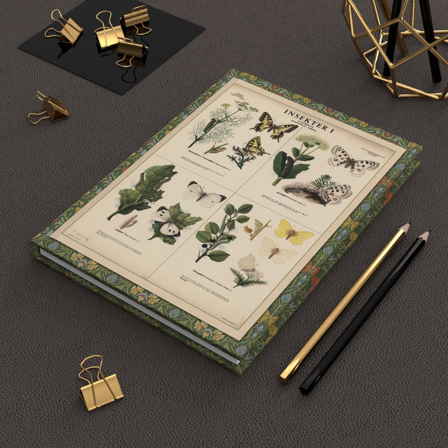 Max Richter 1939 butterfly journal on workspace with writing tools celebrating vintage Swedish natural history education - LeBonJournal