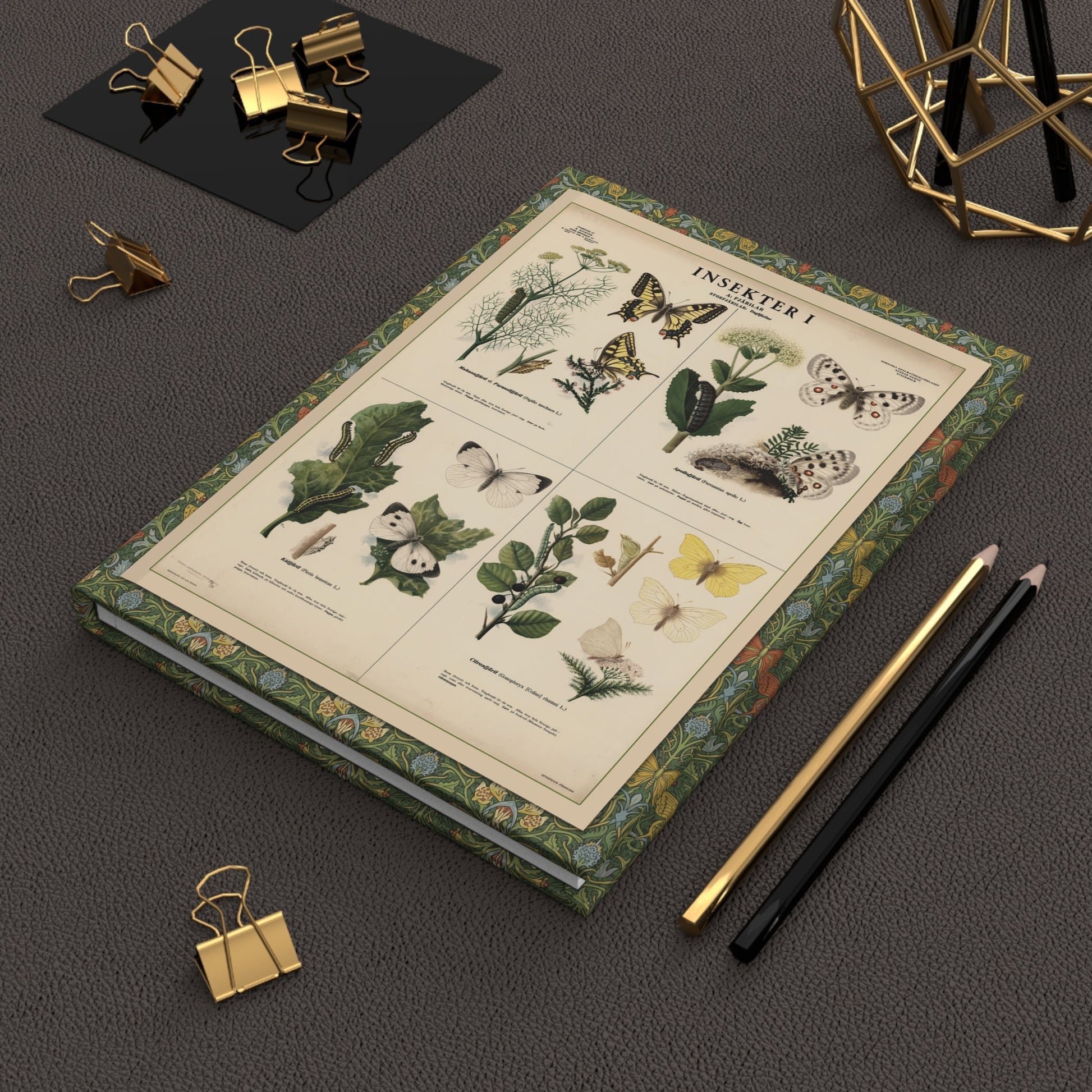Max Richter 1939 butterfly journal on workspace with writing tools celebrating vintage Swedish natural history education - LeBonJournal