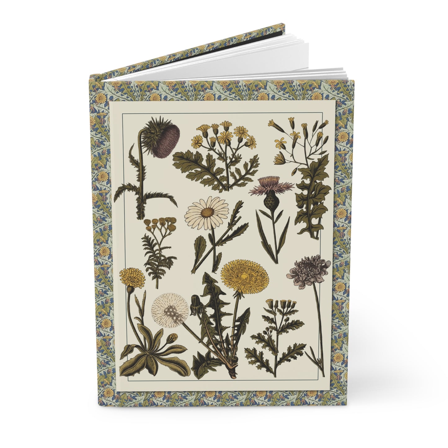 Medicinal herbs hardcover journal with Polish botanical Zielnik illustration 1870s–1912, 22 wild medicinal plants including dandelion, yarrow and tansy - LeBonJournal