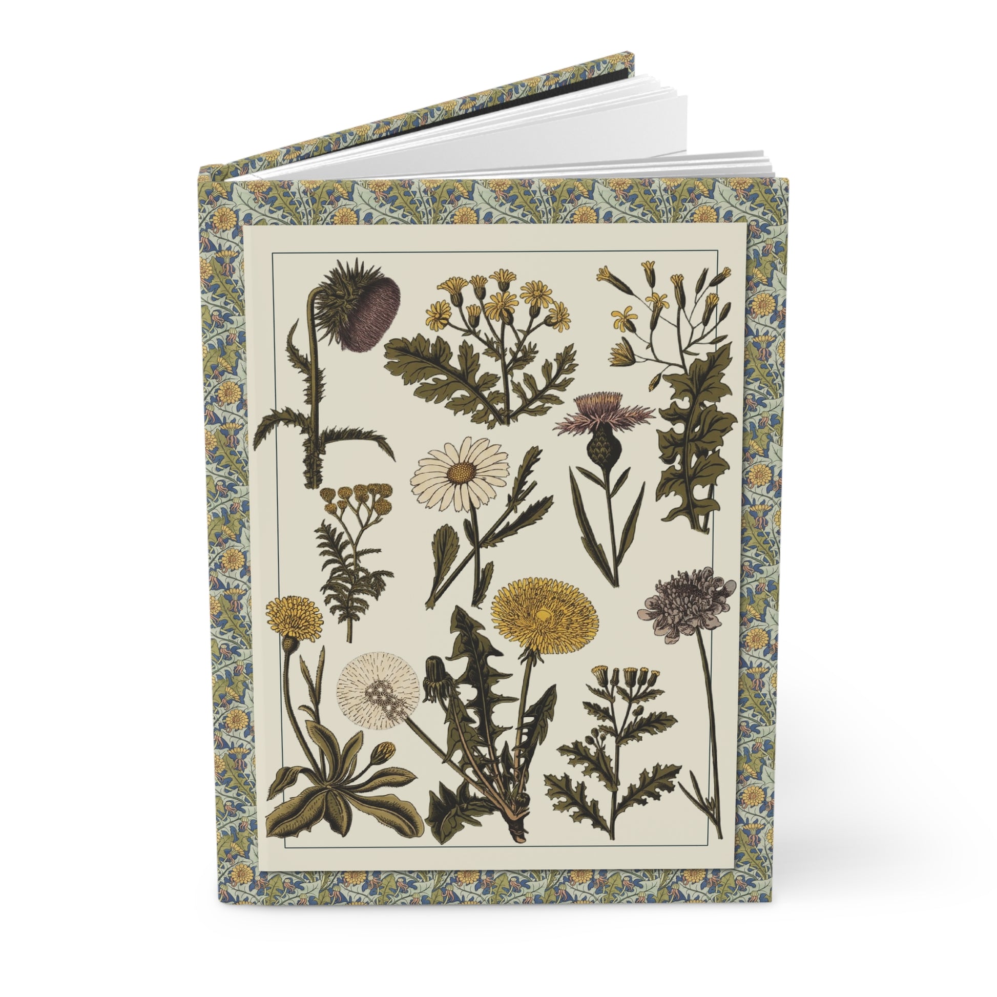 Medicinal herbs hardcover journal with Polish botanical Zielnik illustration 1870s–1912, 22 wild medicinal plants including dandelion, yarrow and tansy - LeBonJournal