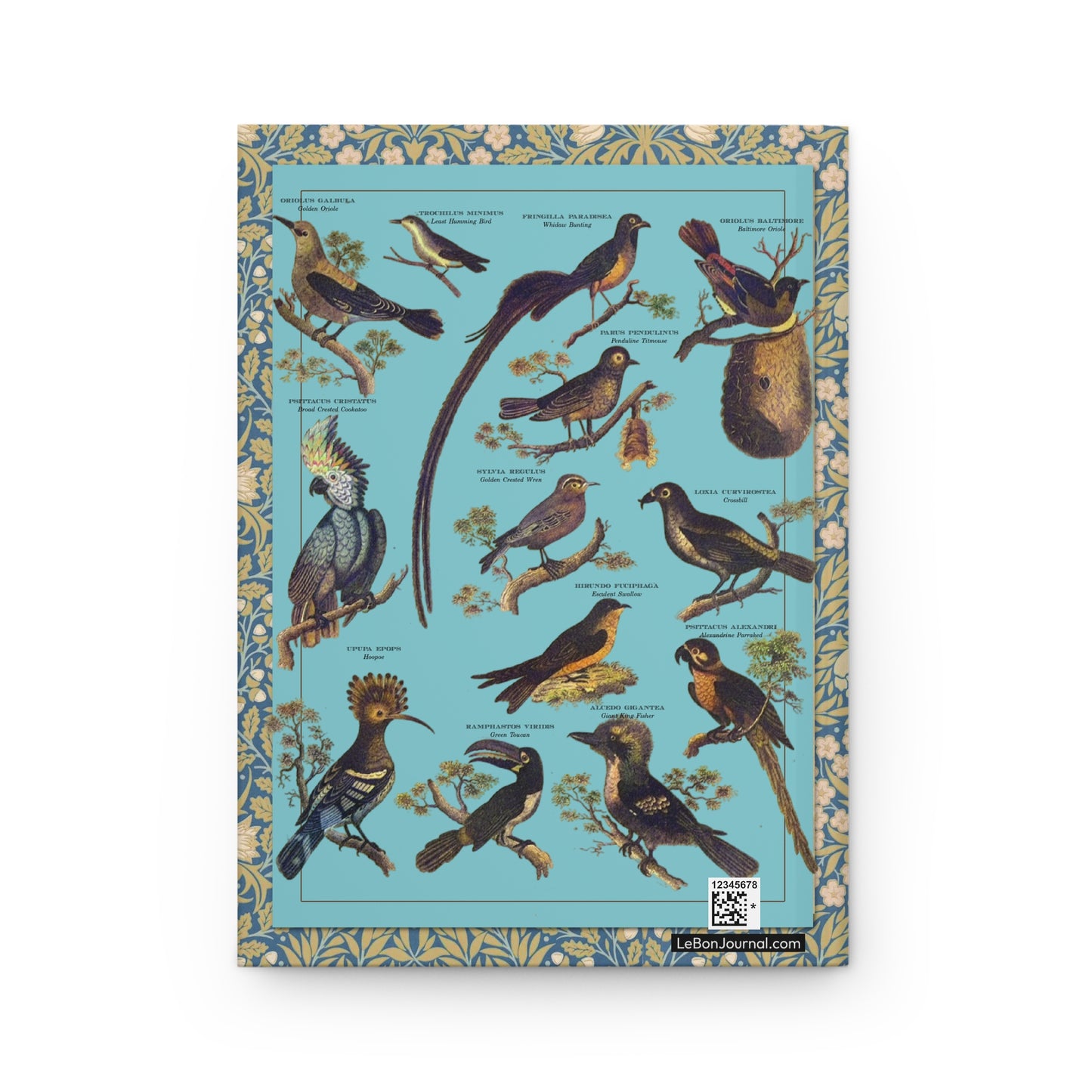 Mixed species exotic birds back cover Oriole Hummingbird Cockatoo Toucan Kingfisher turquoise - LeBonJournal
