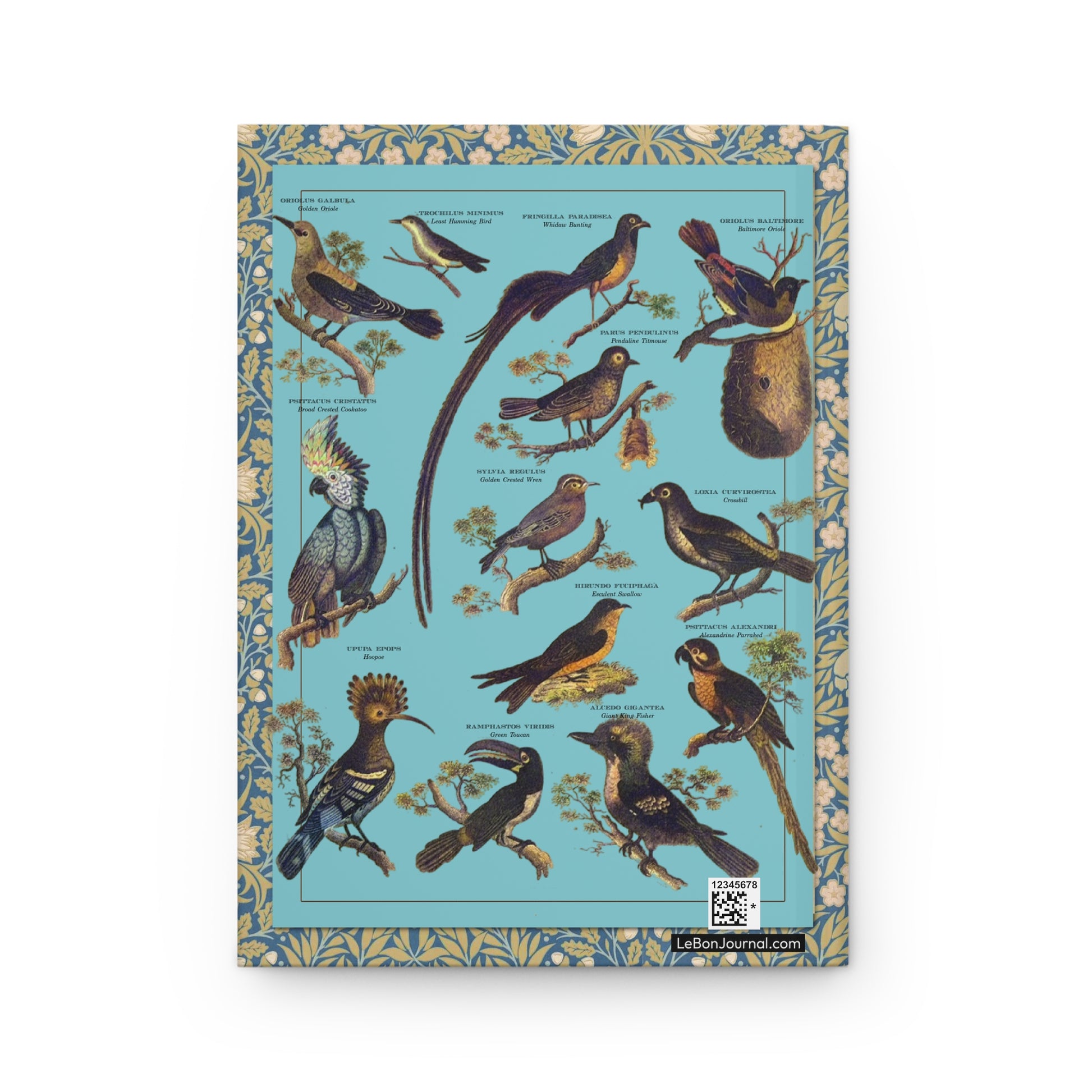 Mixed species exotic birds back cover Oriole Hummingbird Cockatoo Toucan Kingfisher turquoise - LeBonJournal
