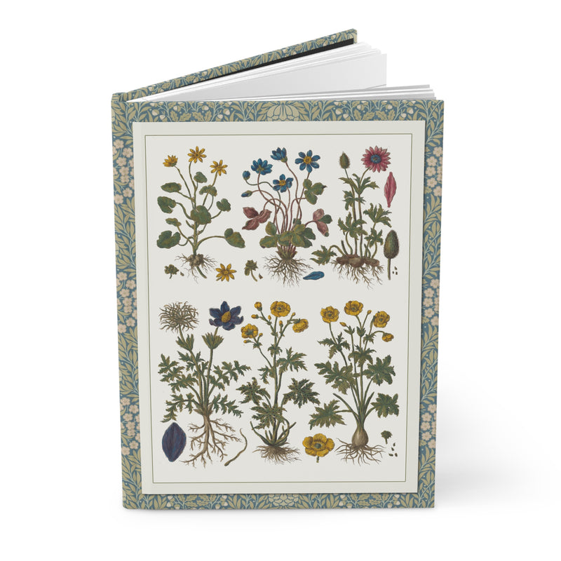 Morandi 1744 botanical hardcover journal standing vertically slightly open showing lined pages, Historia Botanica Practica Prussian blue cover - LeBonJournal