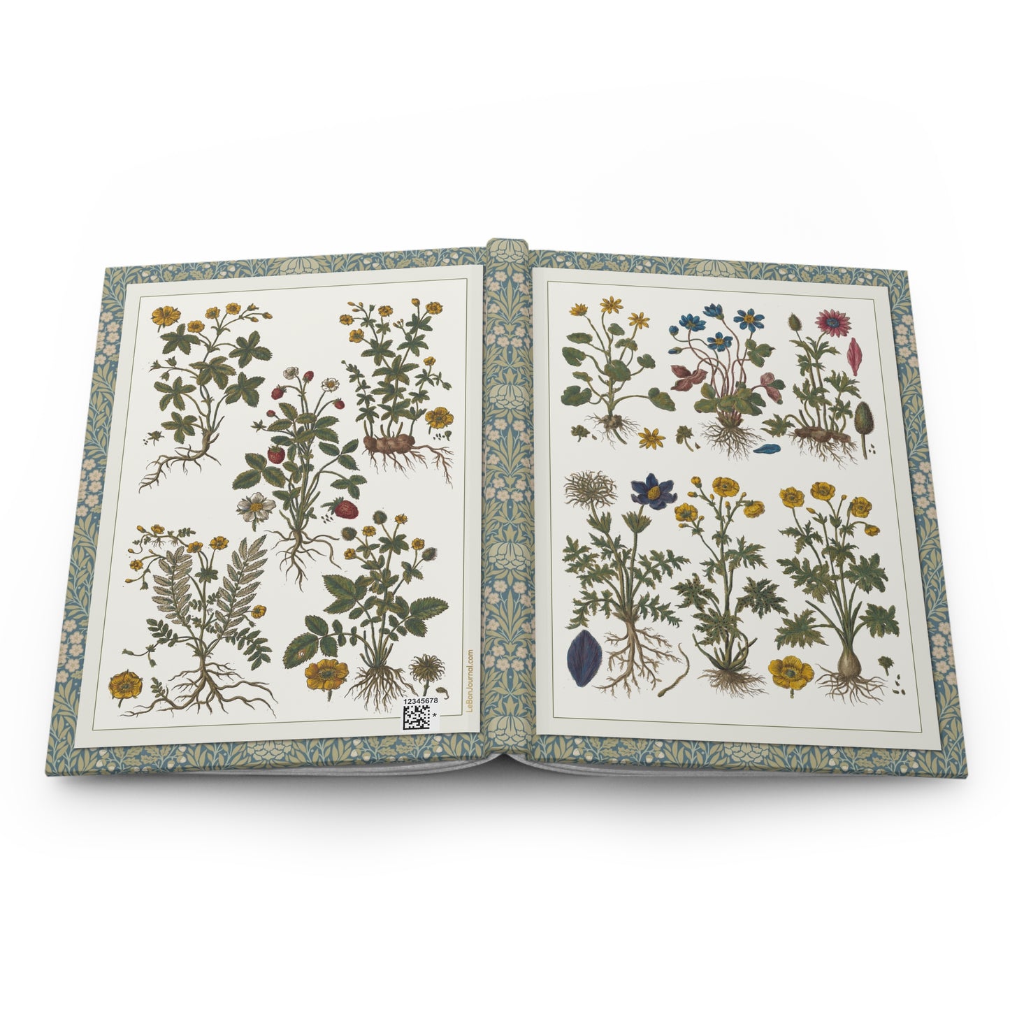 Morandi 1744 botanical hardcover journal open showing front and back covers with casewrap sewn spine, Historia Botanica Practica 1744 - LeBonJournal
