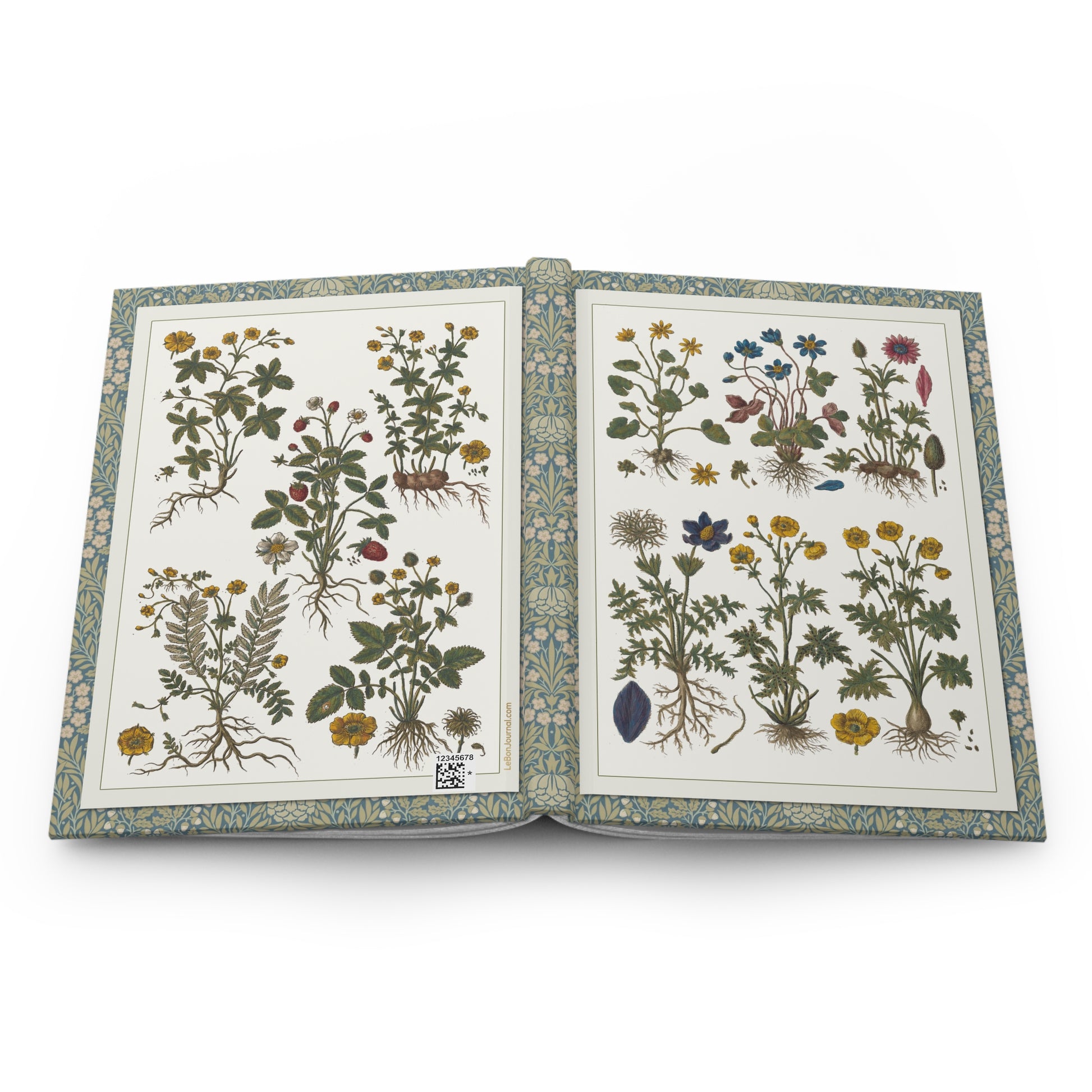 Morandi 1744 botanical hardcover journal open showing front and back covers with casewrap sewn spine, Historia Botanica Practica 1744 - LeBonJournal