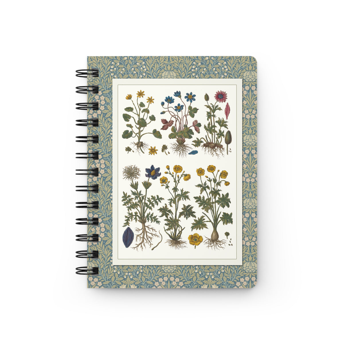 Morandi 1744 Historia Botanica Practica front cover showing anemones buttercups and wildflowers botanical plate on sage William Morris floral border - LeBonJournal