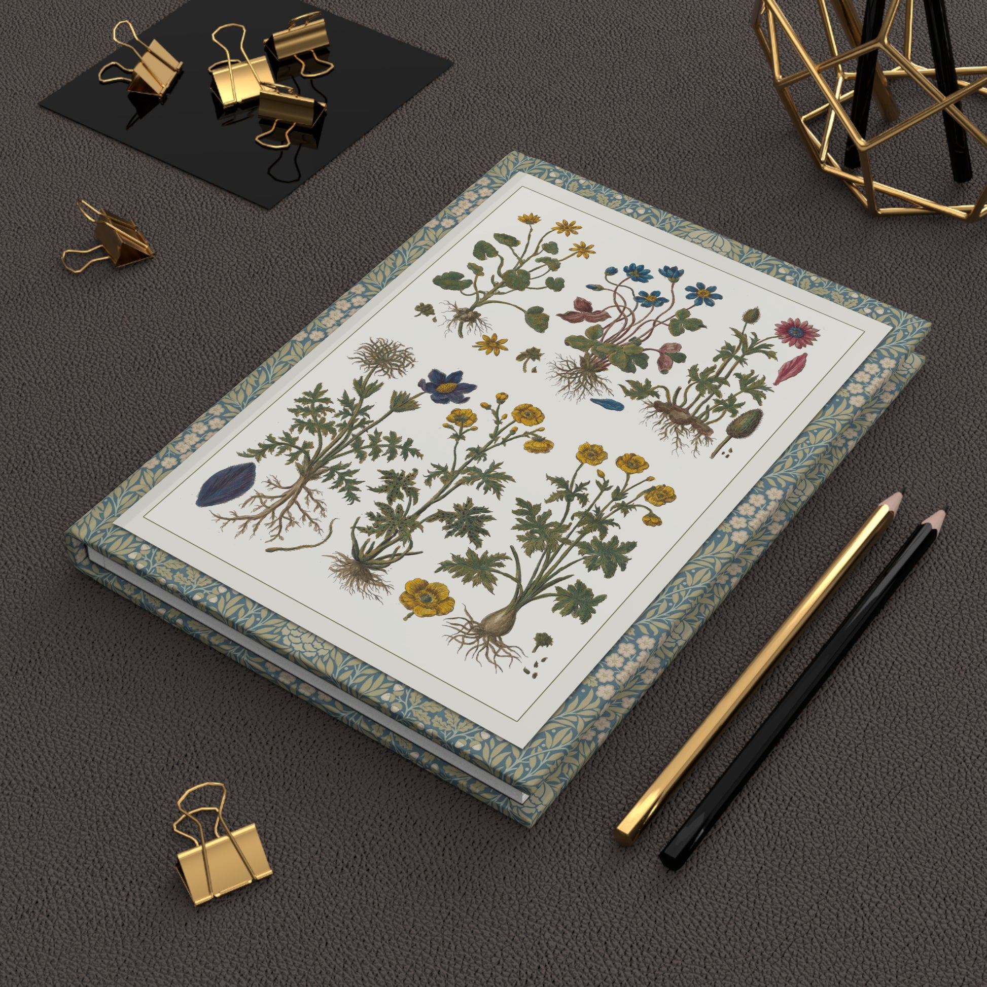 Morandi 1744 Historia Botanica Practica journal on workspace celebrating Italian Enlightenment botanical illustration and Prussian blue art - LeBonJournal