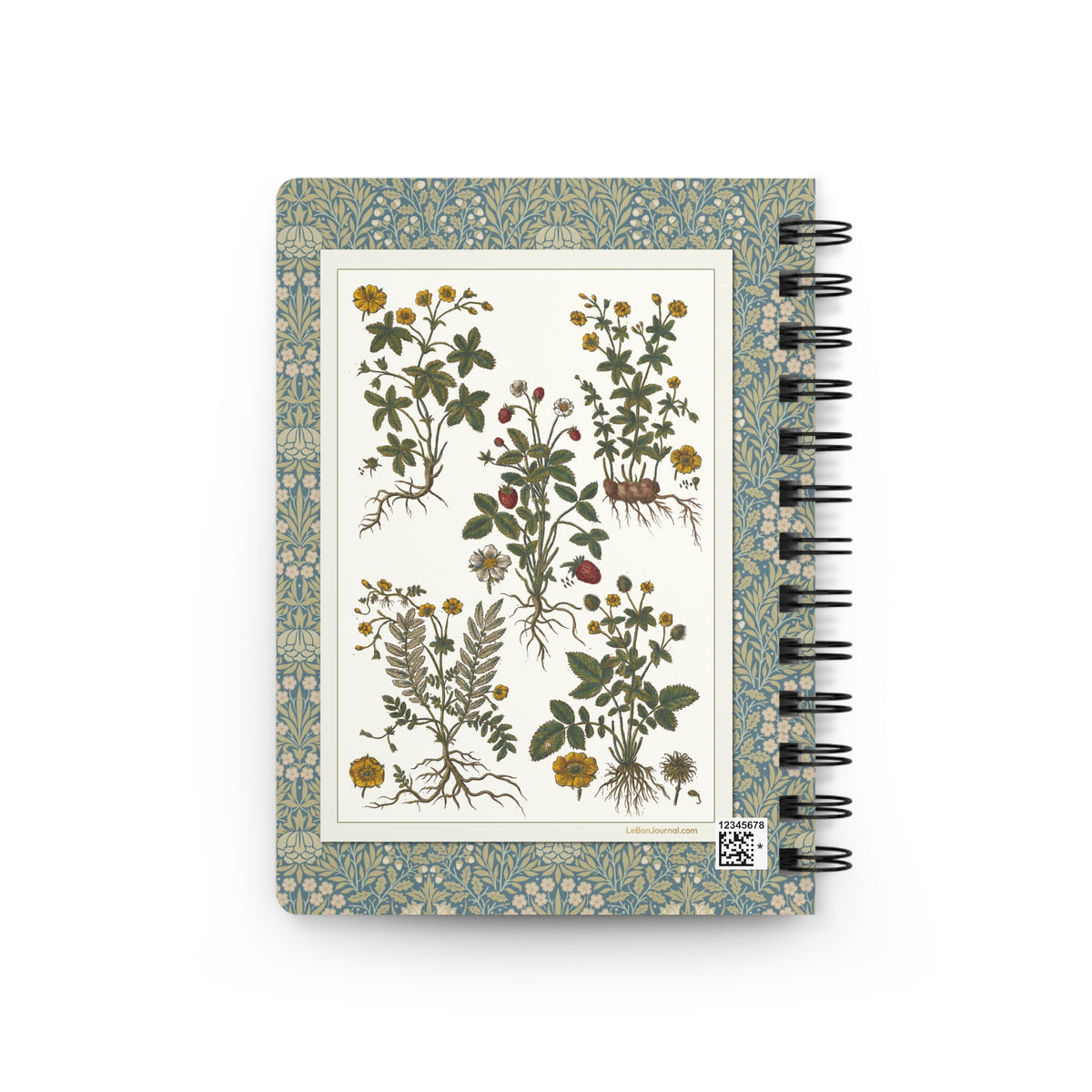 Morandi 1744 Historia Botanica Practica back cover showing strawberries chamomile and wildflowers botanical plate on sage William Morris floral border - LeBonJournal