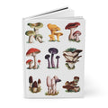 Mushroom journal El Tesoro de la Juventud encyclopedia Russula Chanterelle Morel Amanita botanical illustrations - LeBonJournal