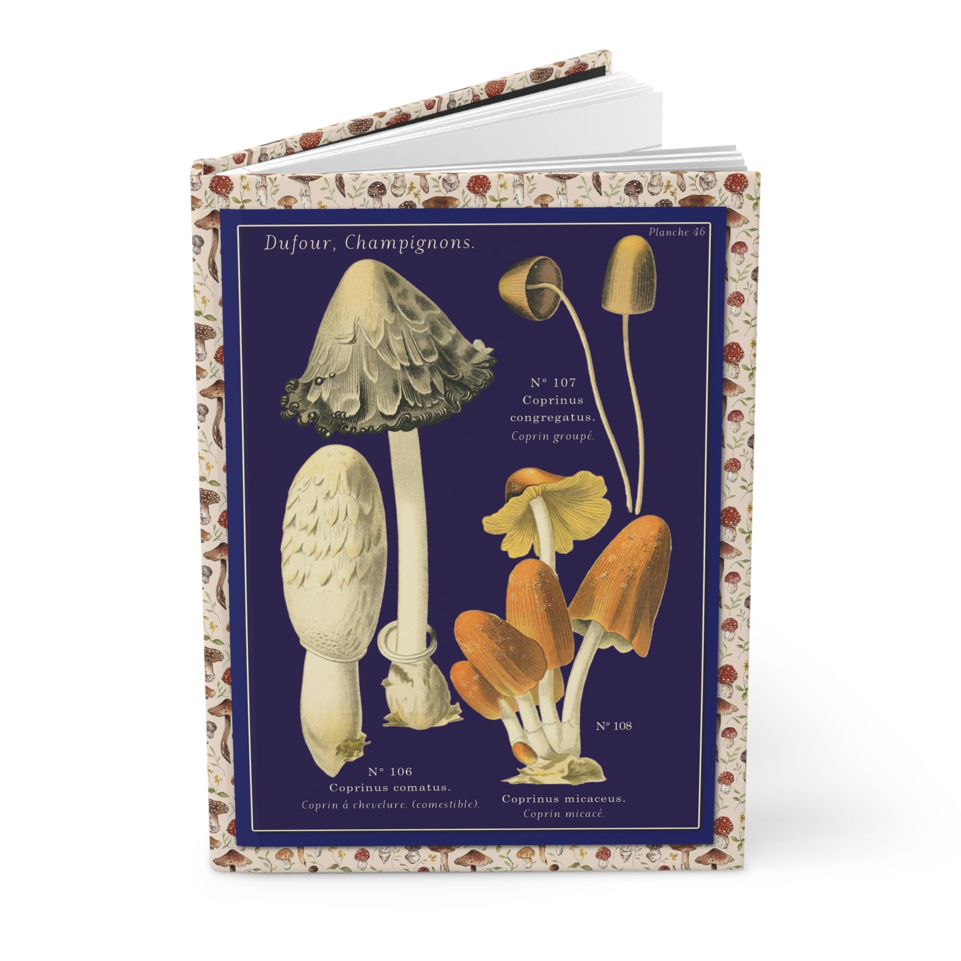Mushroom journal Léon Dufour 1891 Atlas Champignons Comestibles Vénéneux ink cap polypore navy background - LeBonJournal

