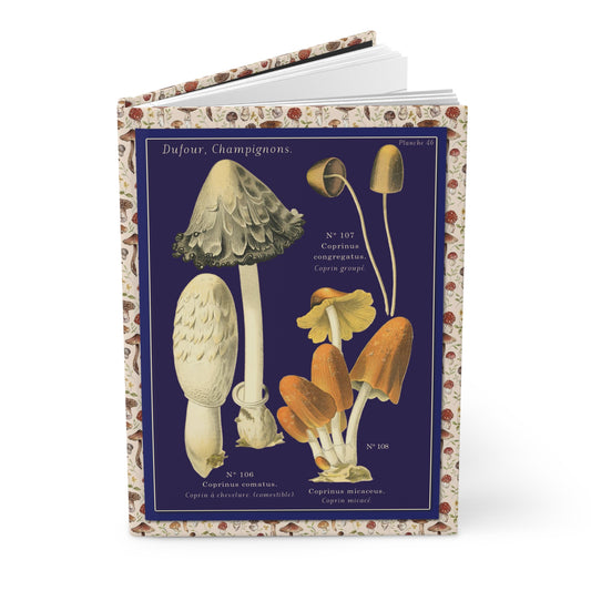 Mushroom journal Léon Dufour 1891 Atlas Champignons Comestibles Vénéneux ink cap polypore navy background - LeBonJournal
