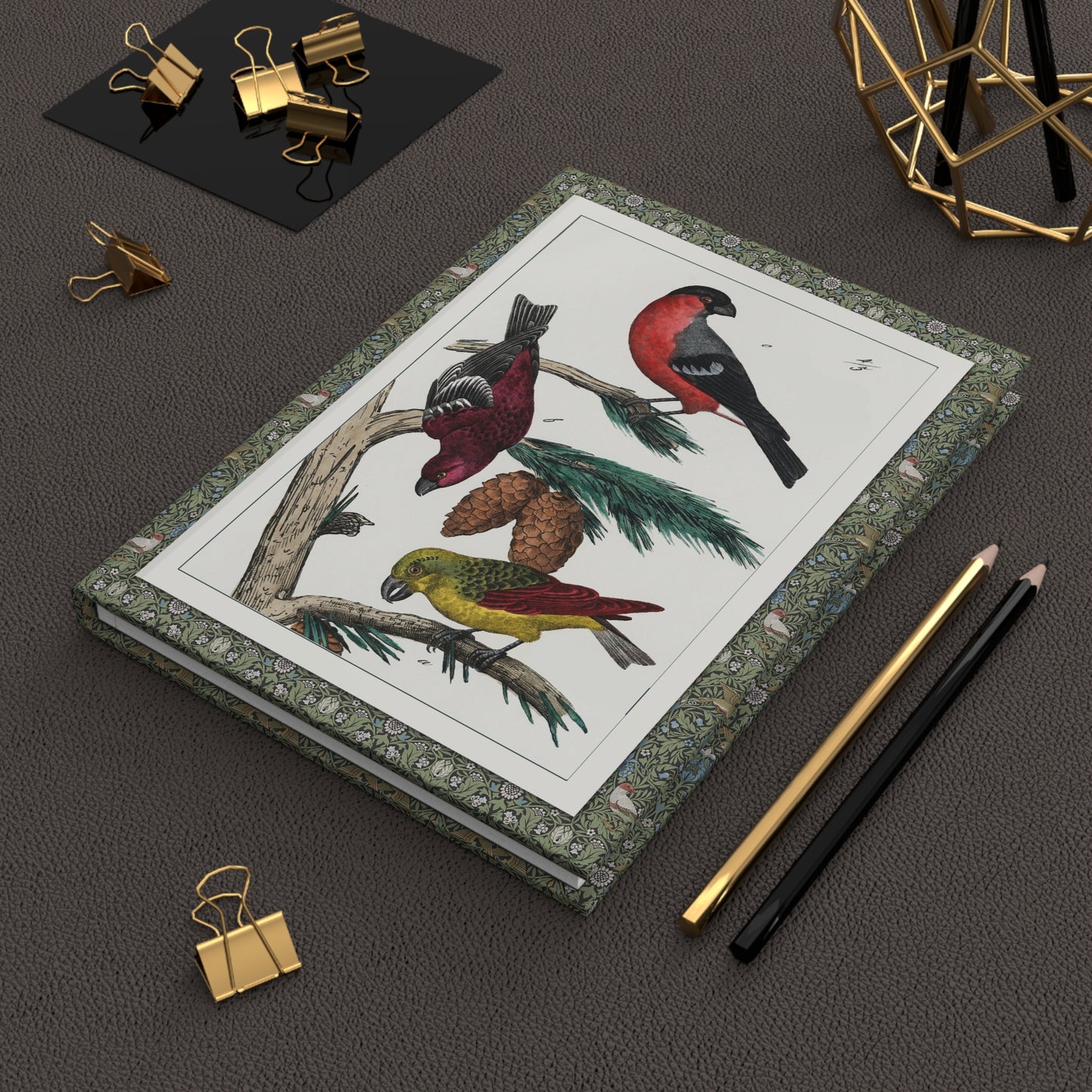 Naumann 1841 songbird journal on workspace celebrating European ornithology and 19th-century natural history illustration - LeBonJournal