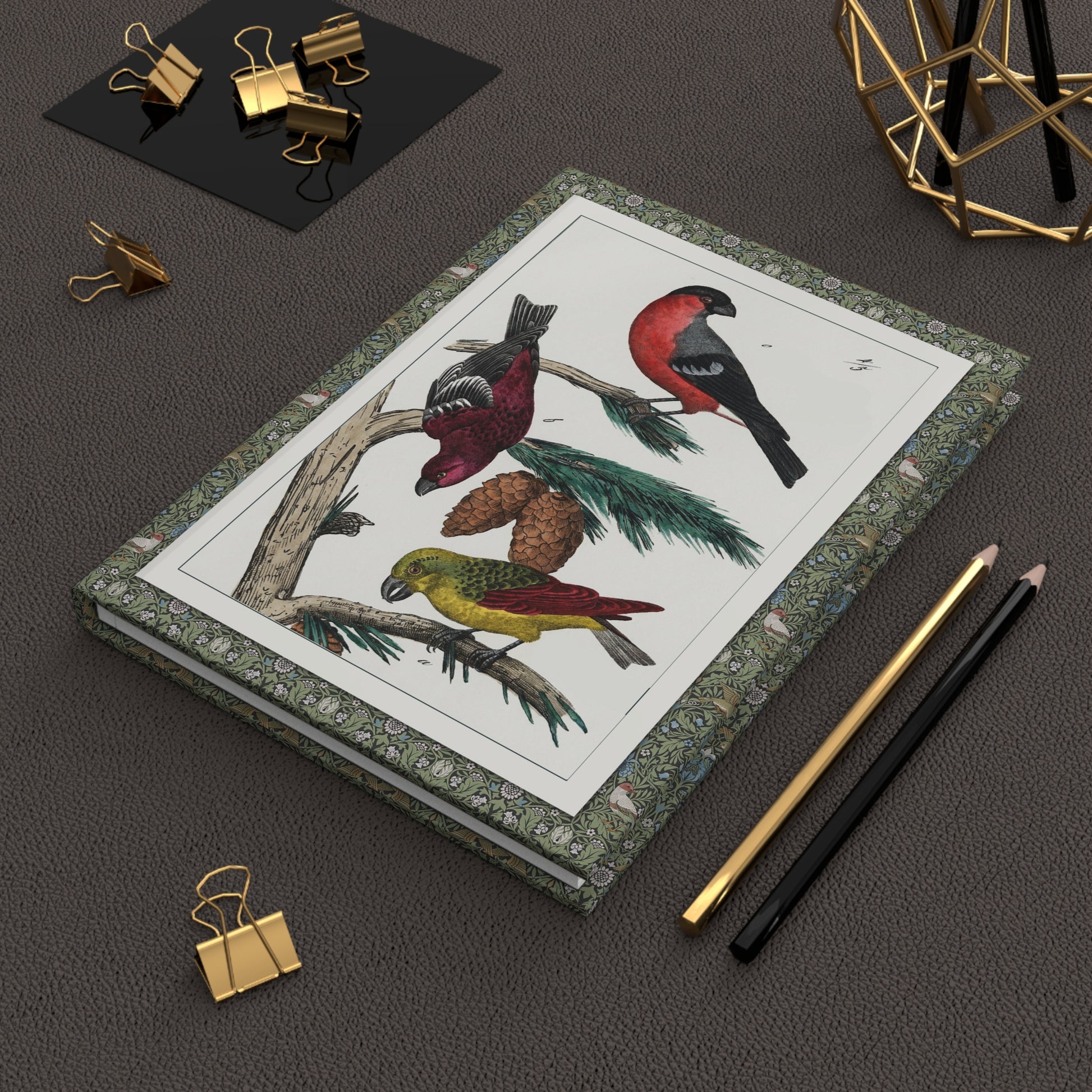 Naumann 1841 songbird journal on workspace celebrating European ornithology and 19th-century natural history illustration - LeBonJournal