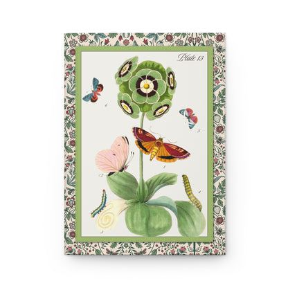 Nederlandsch Bloemwerk 1794 Plate 13 copper engraving Primula auricula with butterflies moths and caterpillars front cover - LeBonJournal