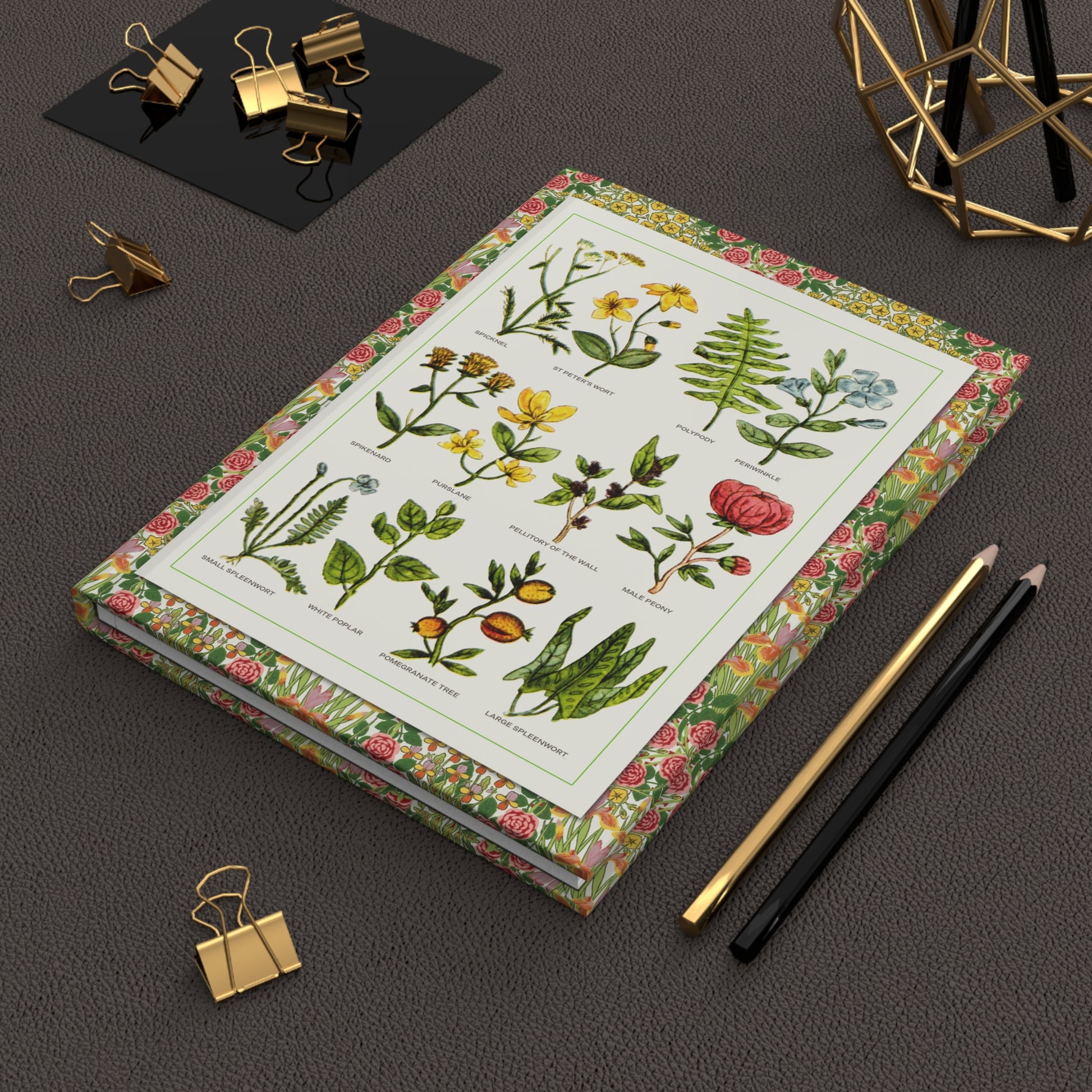 Nicholas Culpeper 1652 Complete Herbal journal on workspace celebrating English herbalism medicinal plant legacy - LeBonJournal