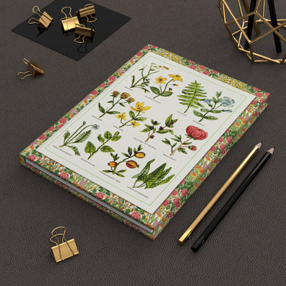 Nicholas Culpeper 1652 Complete Herbal journal on workspace celebrating English herbalism medicinal plant legacy - LeBonJournal