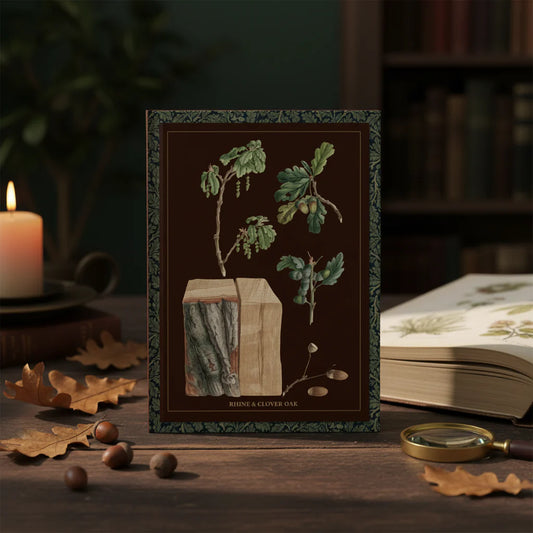 Pfleger 1788 and Petersen 1816 oak tree journal on 18th-century naturalist desk with dried oak leaves, acorns and botanical manuscript - LeBonJournal