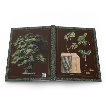 Oak tree hardcover journal open showing front and back covers with casewrap sewn spine, Pfleger 1788 Quercus robur and Petersen 1816 - LeBonJournal