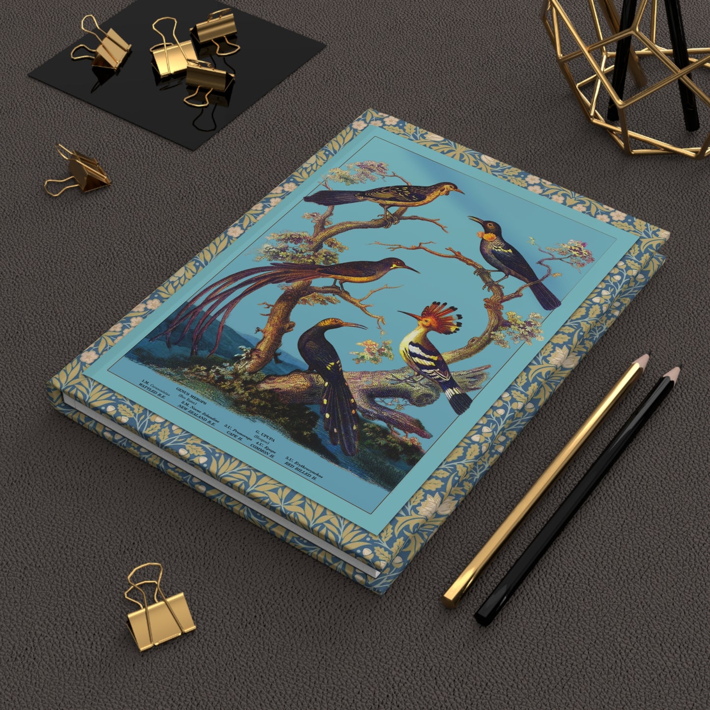 Oliver Goldsmith 1825 avian journal on workspace celebrating 19th-century natural history - LeBonJournal
