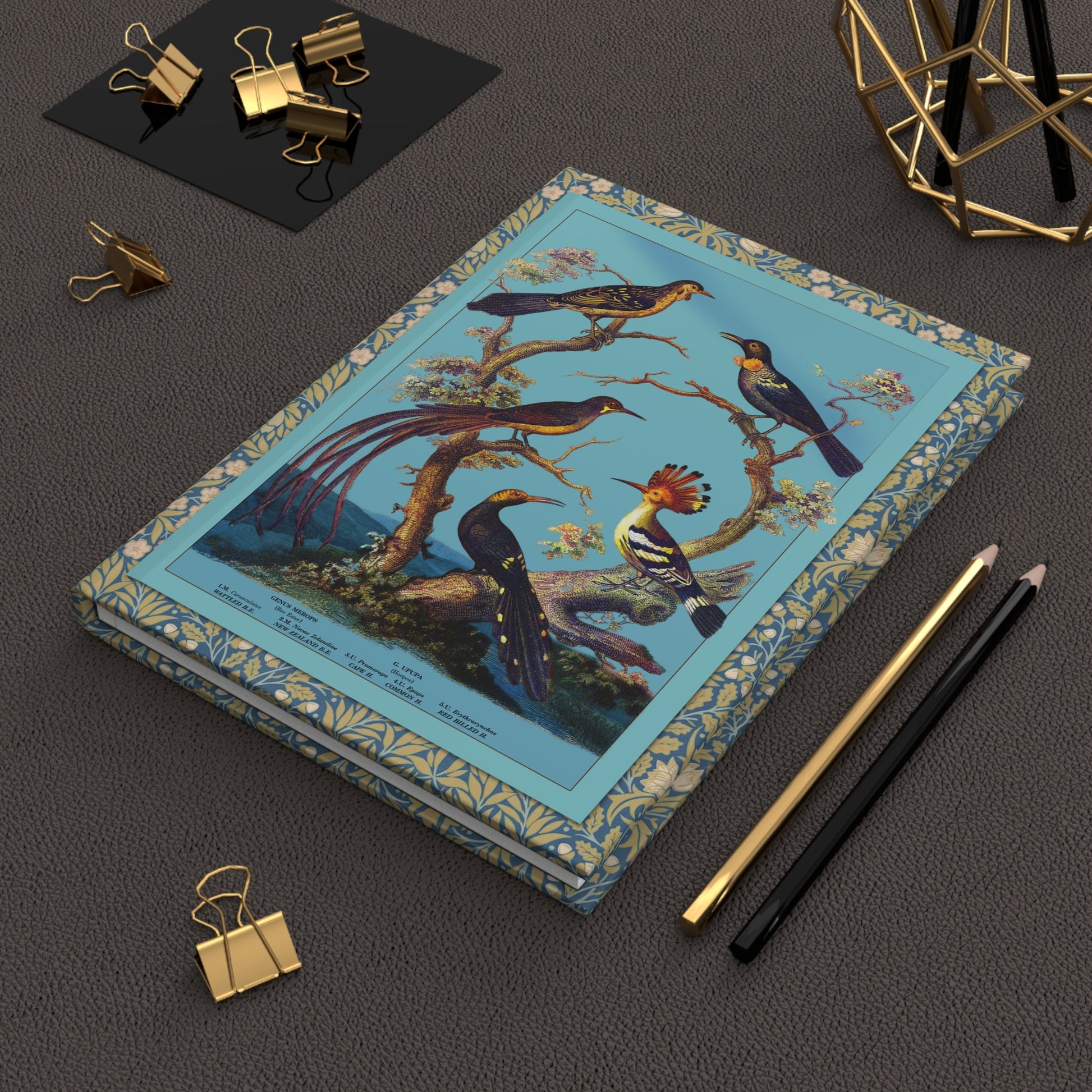 Oliver Goldsmith 1825 avian journal on workspace celebrating 19th-century natural history - LeBonJournal
