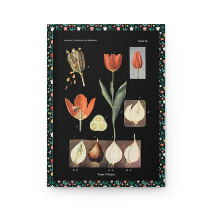 Otto Schmeil 1900 front cover Tulipa life cycle bulb cross-section pollination bee seed capsule black background - LeBonJournal
