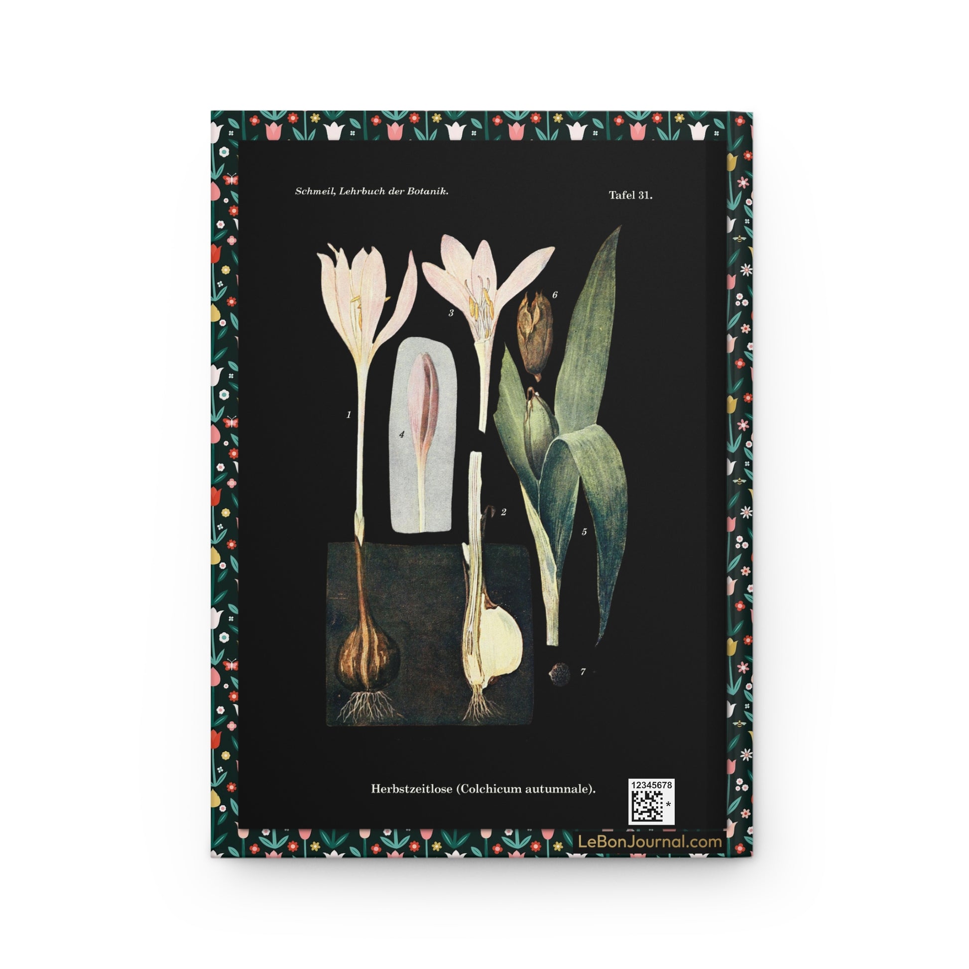 Otto Schmeil Tafel 31 back cover Colchicum autumnale autumn crocus reversed life cycle black background - LeBonJournal
