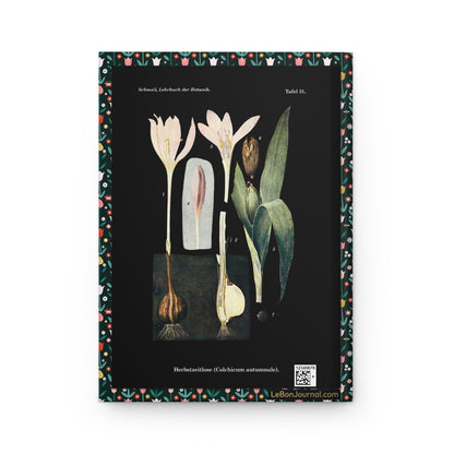 Otto Schmeil Tafel 31 back cover Colchicum autumnale autumn crocus reversed life cycle black background - LeBonJournal
