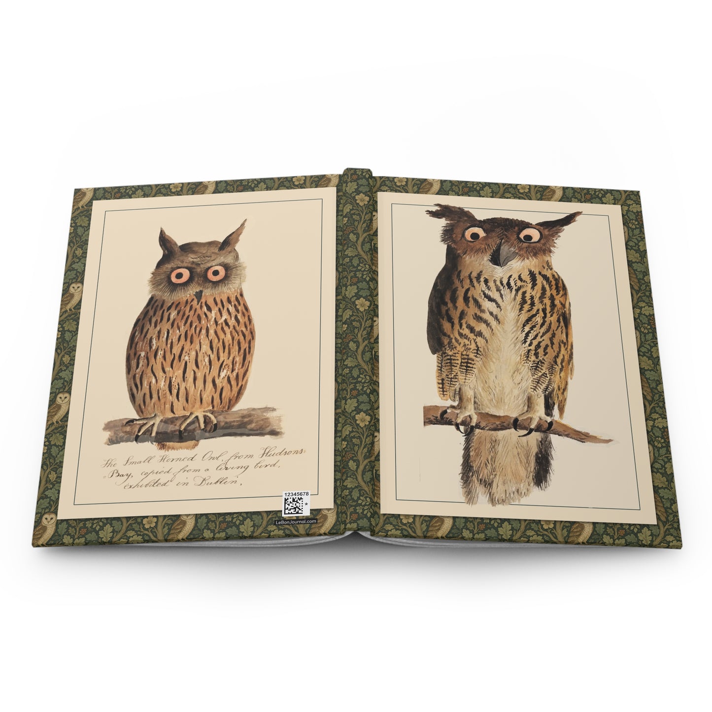 Owl journal open showing Eagle Owl and Small Horned Owl from Hudson's Bay watercolours by Digby 1810 - LeBonJournal