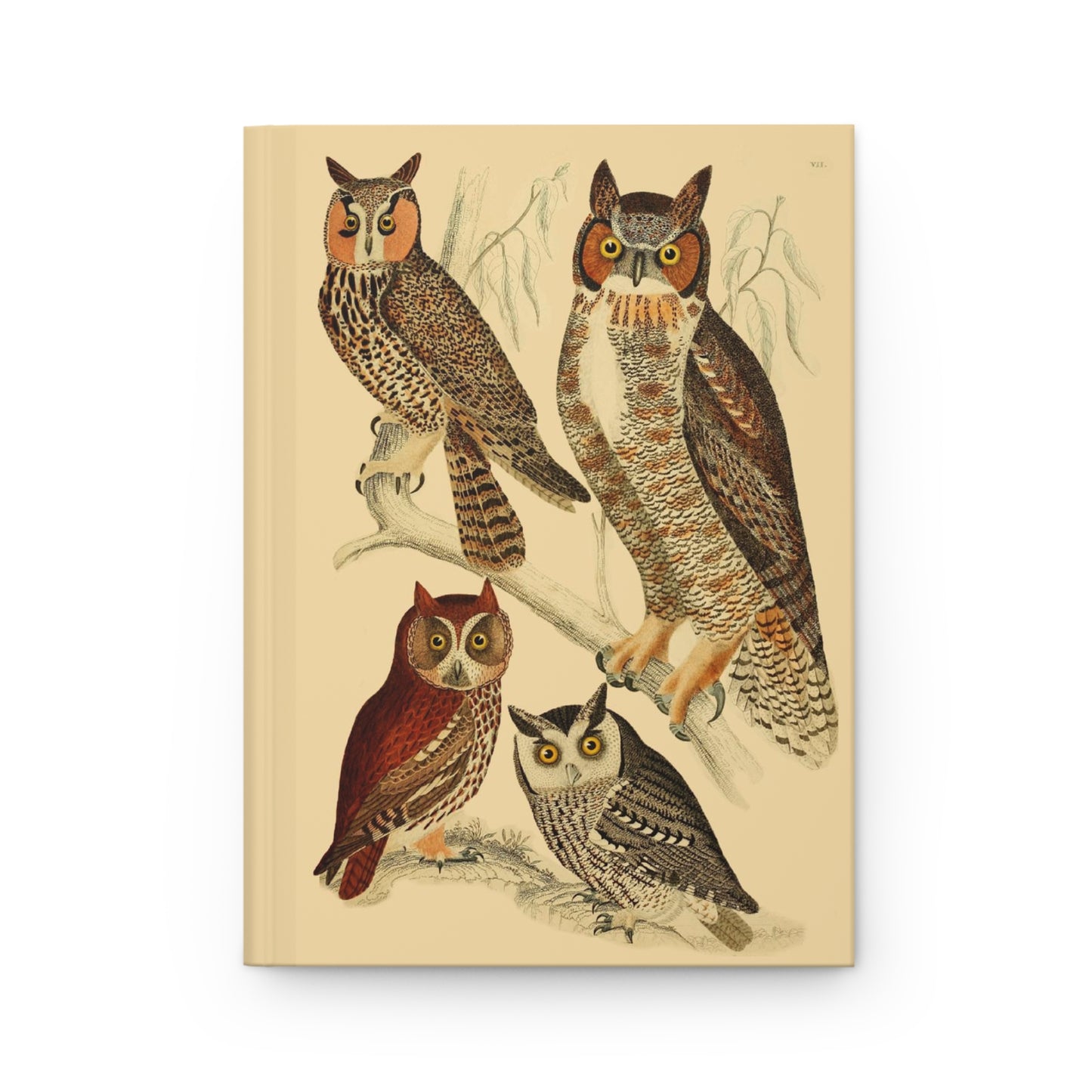 Front cover of Owls Serenade journal featuring Alexander Wilson American Ornithology 1808 hand-colored owl engravings with North American owl species on premium matte hardcover - LeBonJournal