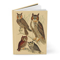 Owls Serenade journal Wilson 1808 American Ornithology Great Horned Owl Eastern Screech Owl Long-eared Owl - LeBonJournal