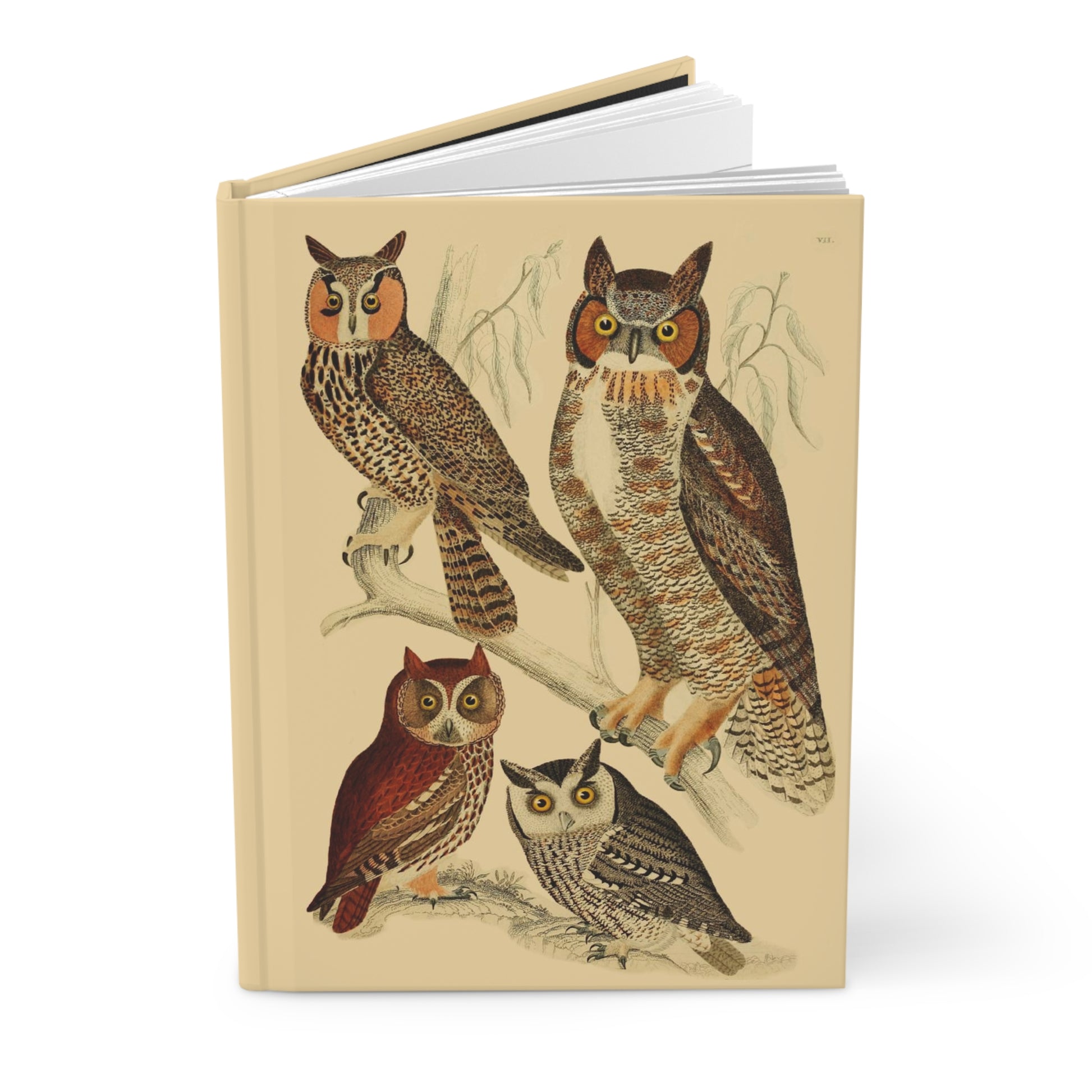 Hardcover owl journal standing upright showing front cover with Alexander Wilson 1808 American Ornithology illustrations featuring Great Horned Owl, Eastern Screech Owl, and Long-eared Owl on matte finish cover - LeBonJournal