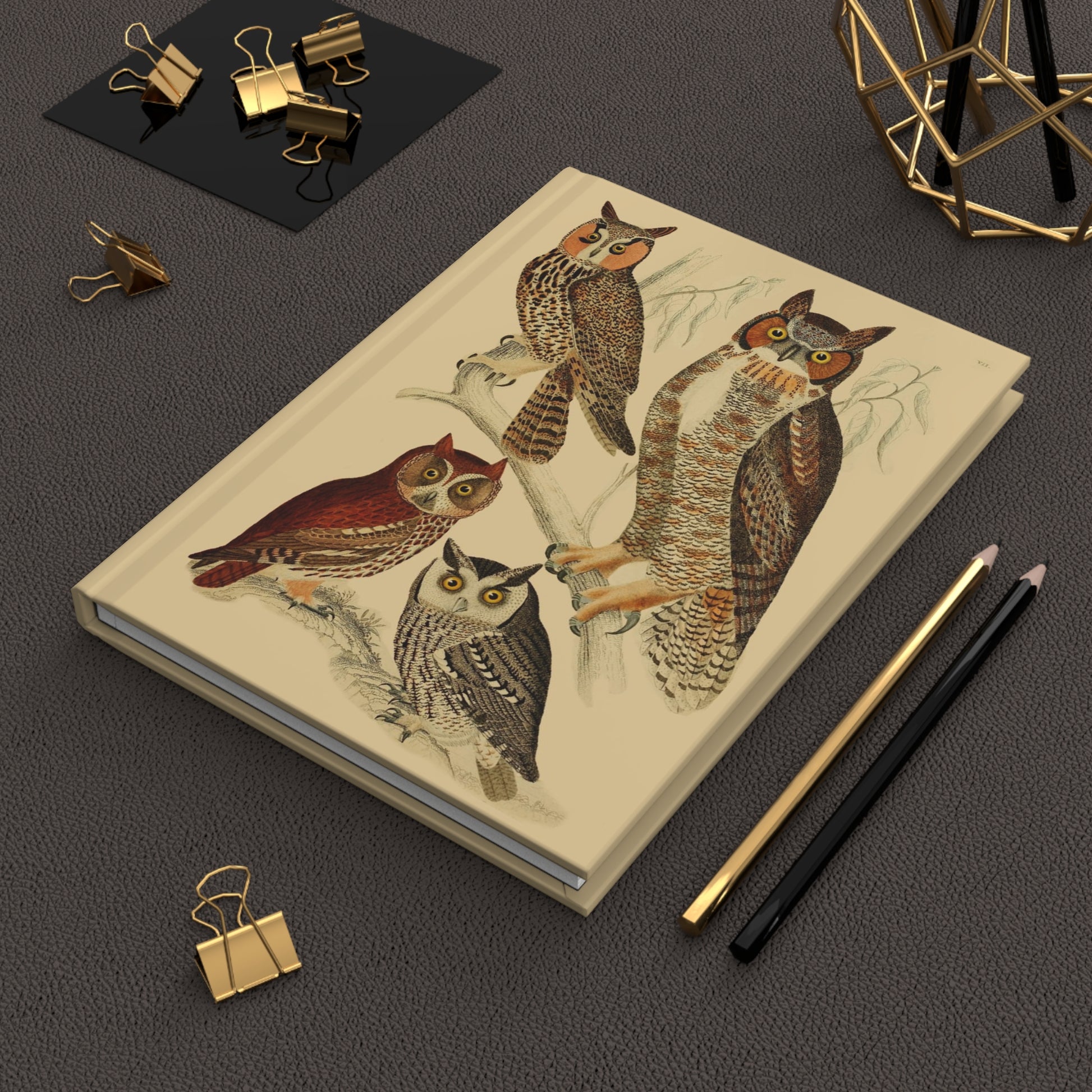 Owls Serenade hardcover journal in lifestyle setting, premium matte finish journal featuring vintage owl art, elegant stationery for bird watchers, ornithology enthusiasts, and owl lovers - LeBonJournal