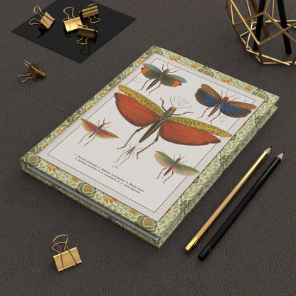 Perty Delectus 1830 Brazilian insects journal on workspace celebrating Spix Martius expedition entomology - LeBonJournal
