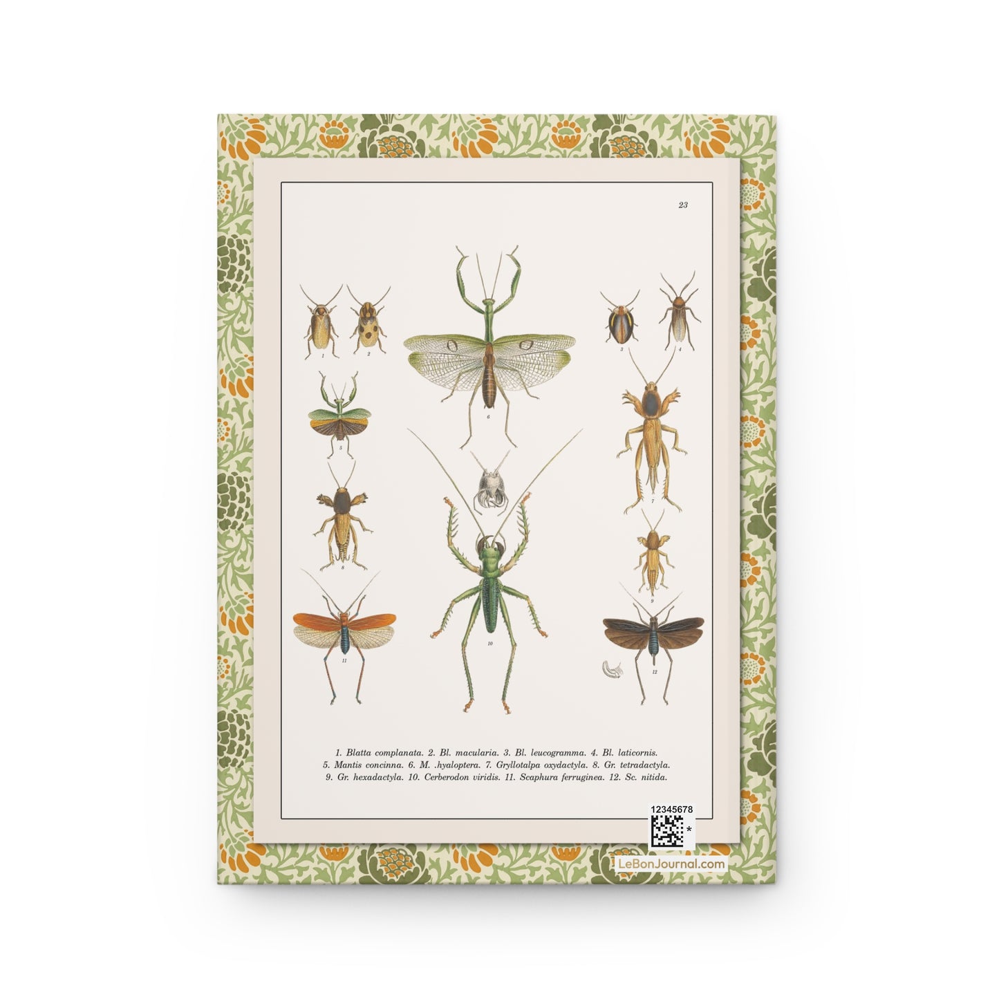 Perty Delectus 1830 Plate 23 back cover Cerberodon Mantis hyaloptera Gryllotalpa Scaphura wasp mimicry Brazil - LeBonJournal
