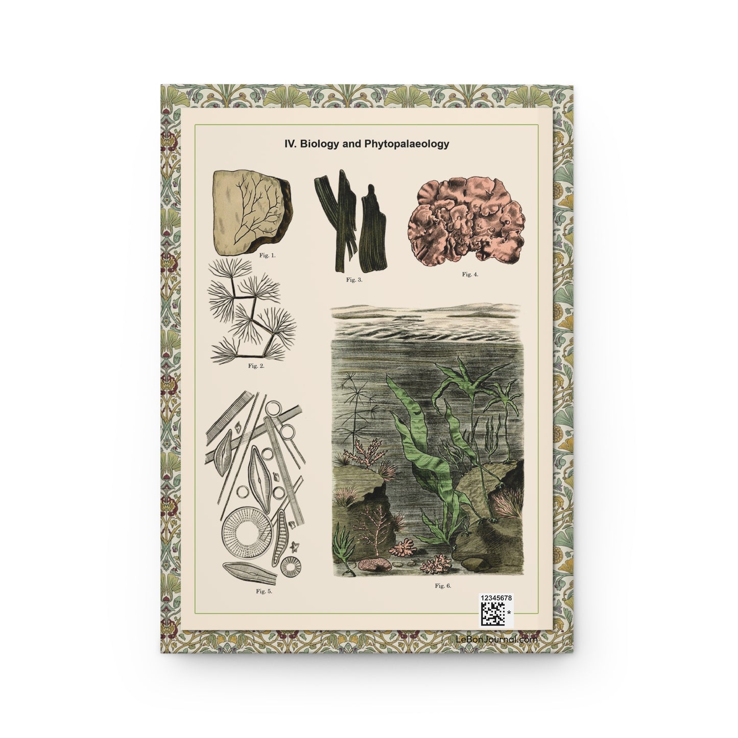 Back cover of Phytopalaeology journal featuring Alexander-Paul Henckel 1905 aquatic plant fossils with algae, seaweeds, diatoms, and cryptogam illustrations with production QR code - LeBonJournal